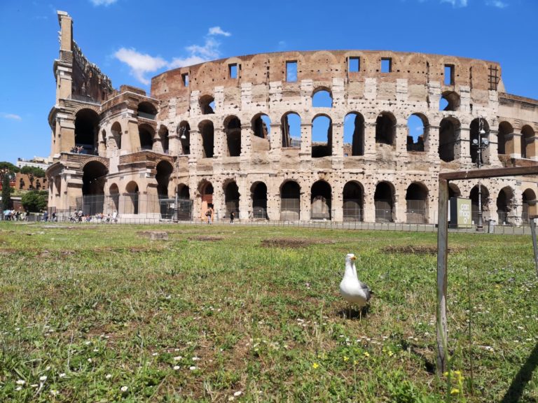 Reisen trotz Corona-Reisewarnung – Teil IV: Rom / Kolosseum